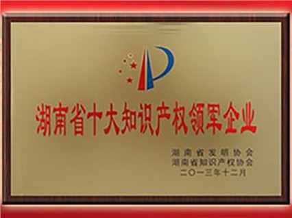 熱烈慶祝“湘潭恒欣”被評為“首屆湖南省十大知識產(chǎn)權(quán)領(lǐng)軍企業(yè)”